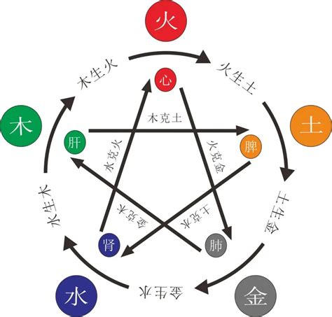 八字 缺木|命中缺木？這樣做最有效